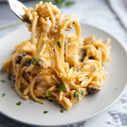 Chicken Tetrazzini with Mushrooms and Sherry Recipe