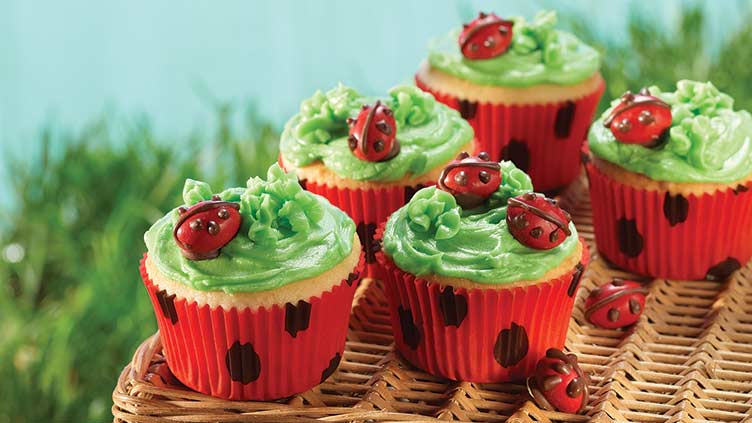 Ladybug Cupcakes Recipe