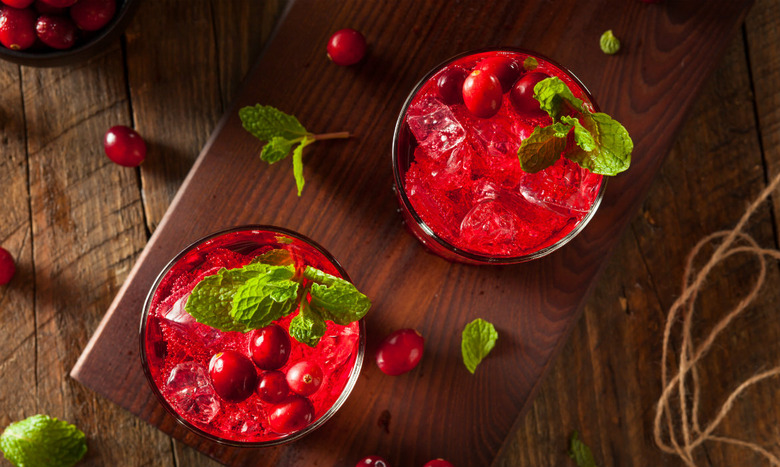 Vodka Cranberry Punch with Apple Cider Ice Cubes