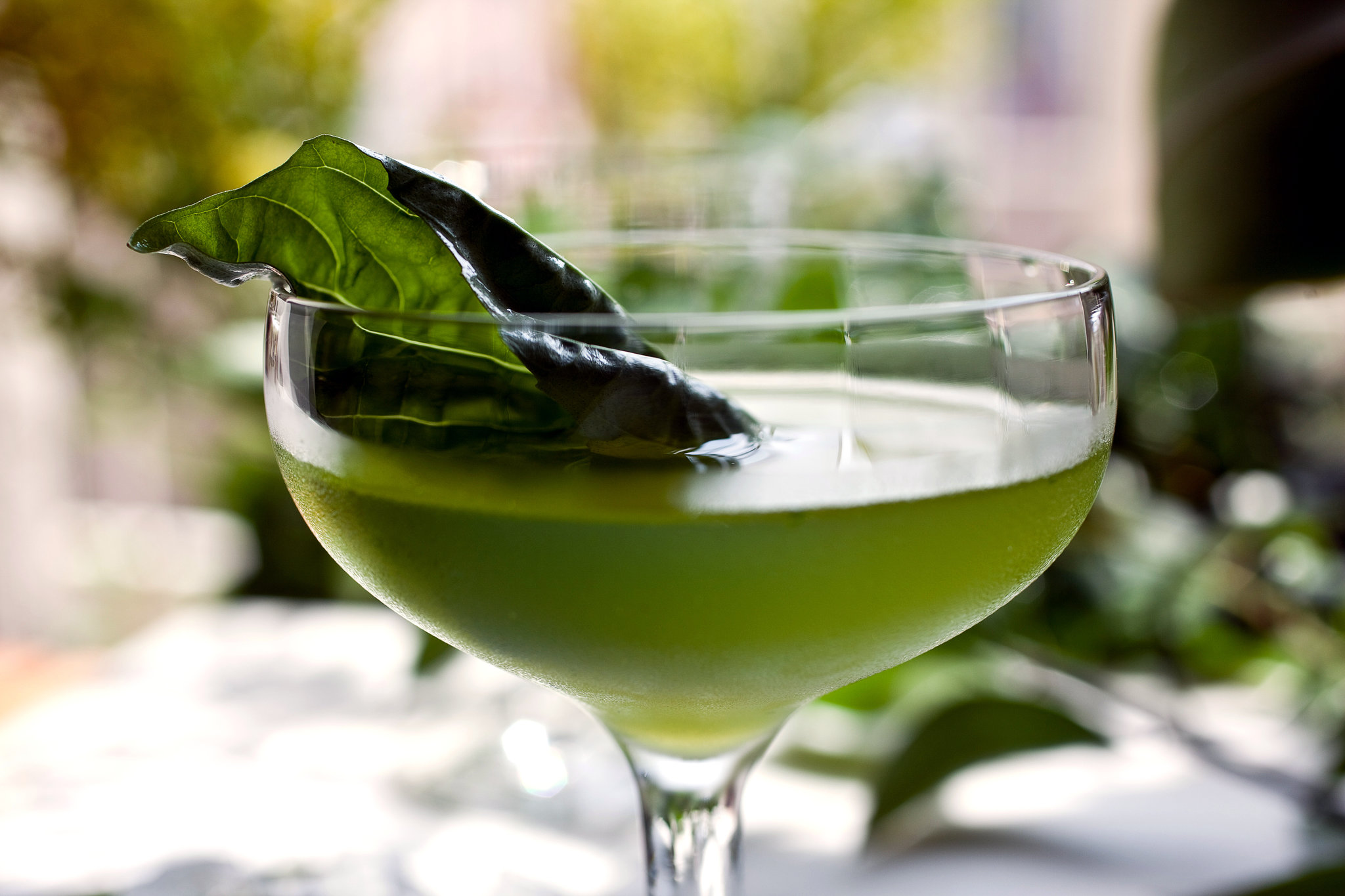 Basil Gimlet Recipe