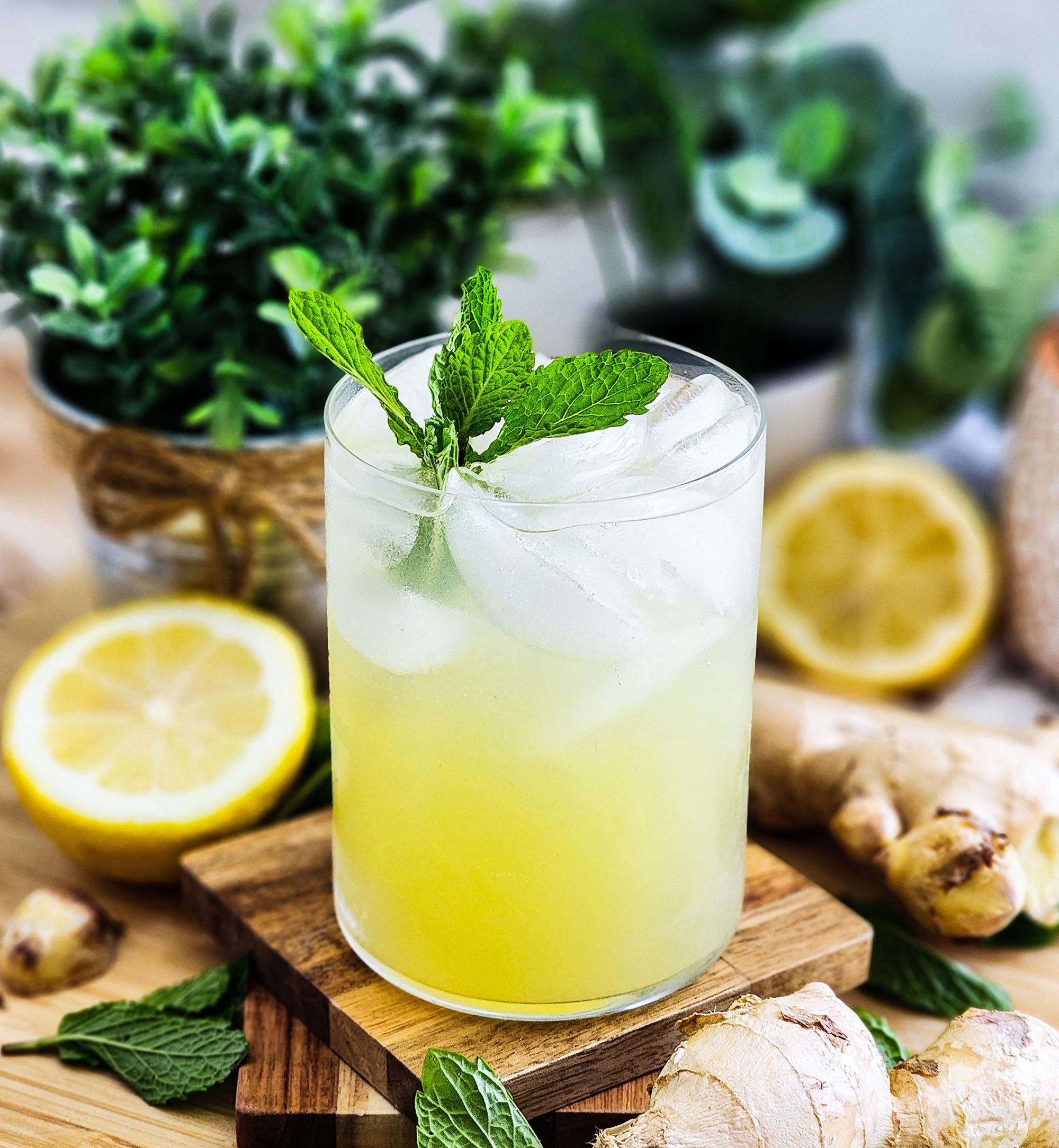 Minty Ginger Ale Recipe