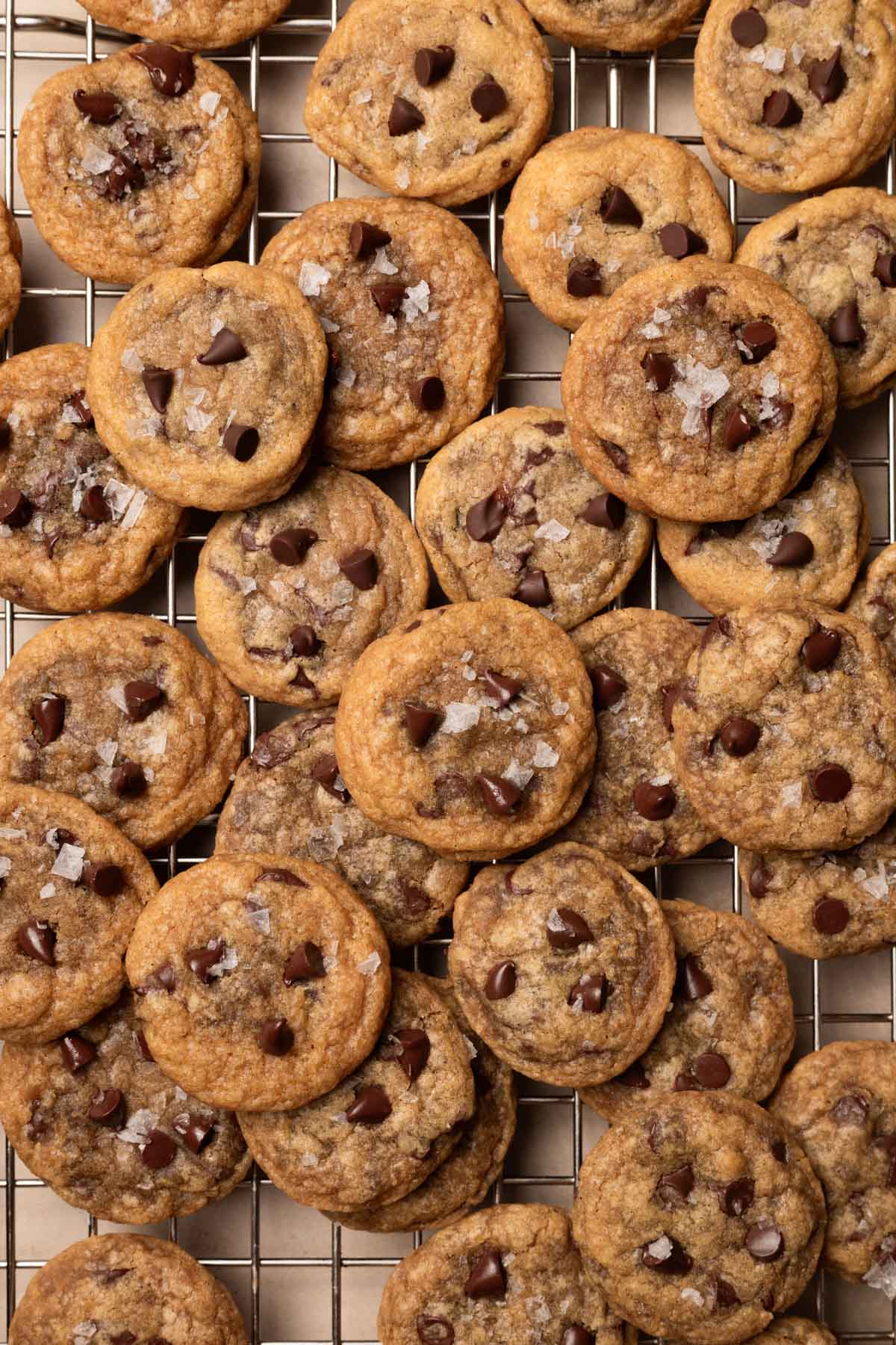 The Ultimate Mini Chocolate Chip Cookies Recipe