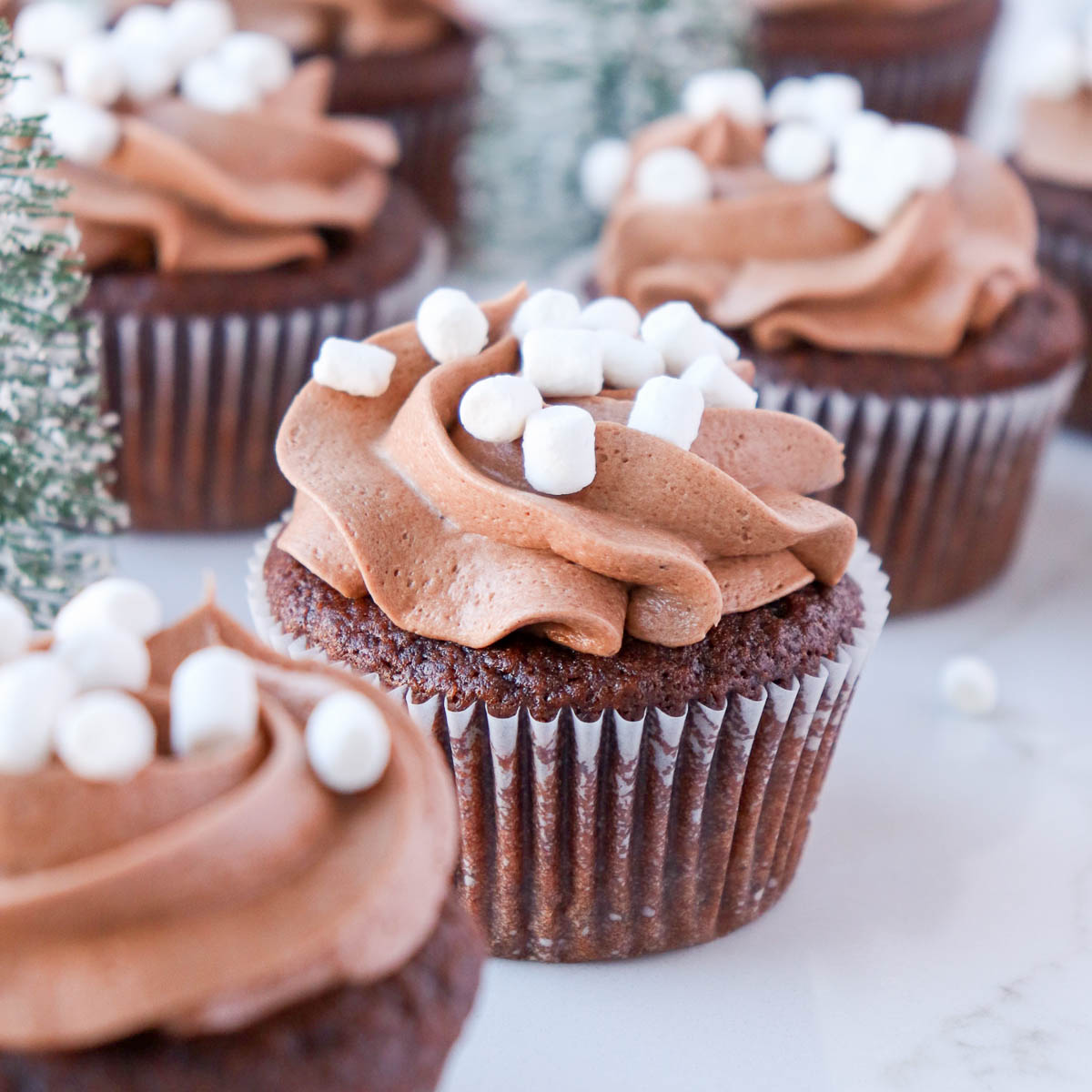 Hottie Chocolate Cupcakes Recipe