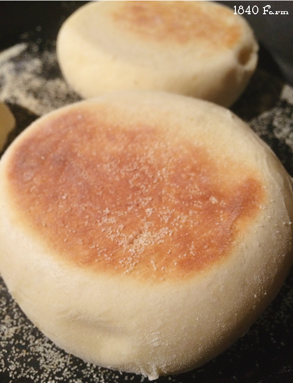 English Muffins Recipe