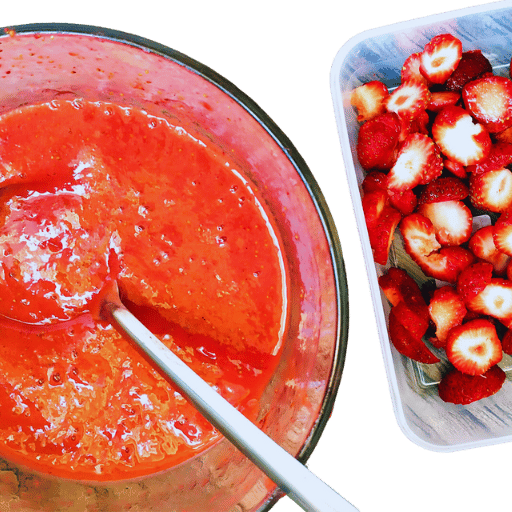 Fruit Purees Recipe
