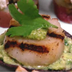 Nantucket Bay Scallops in Tequila, Citrus, and Chile Dressing