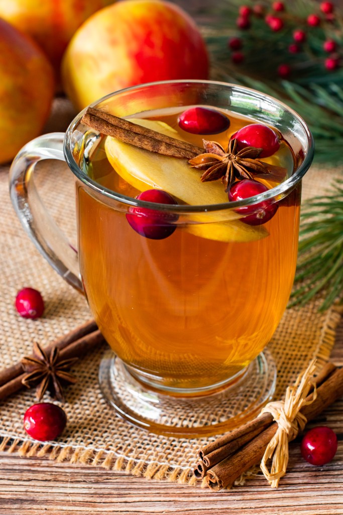 Orange-Cloved Hot Cider with Brandy Recipe