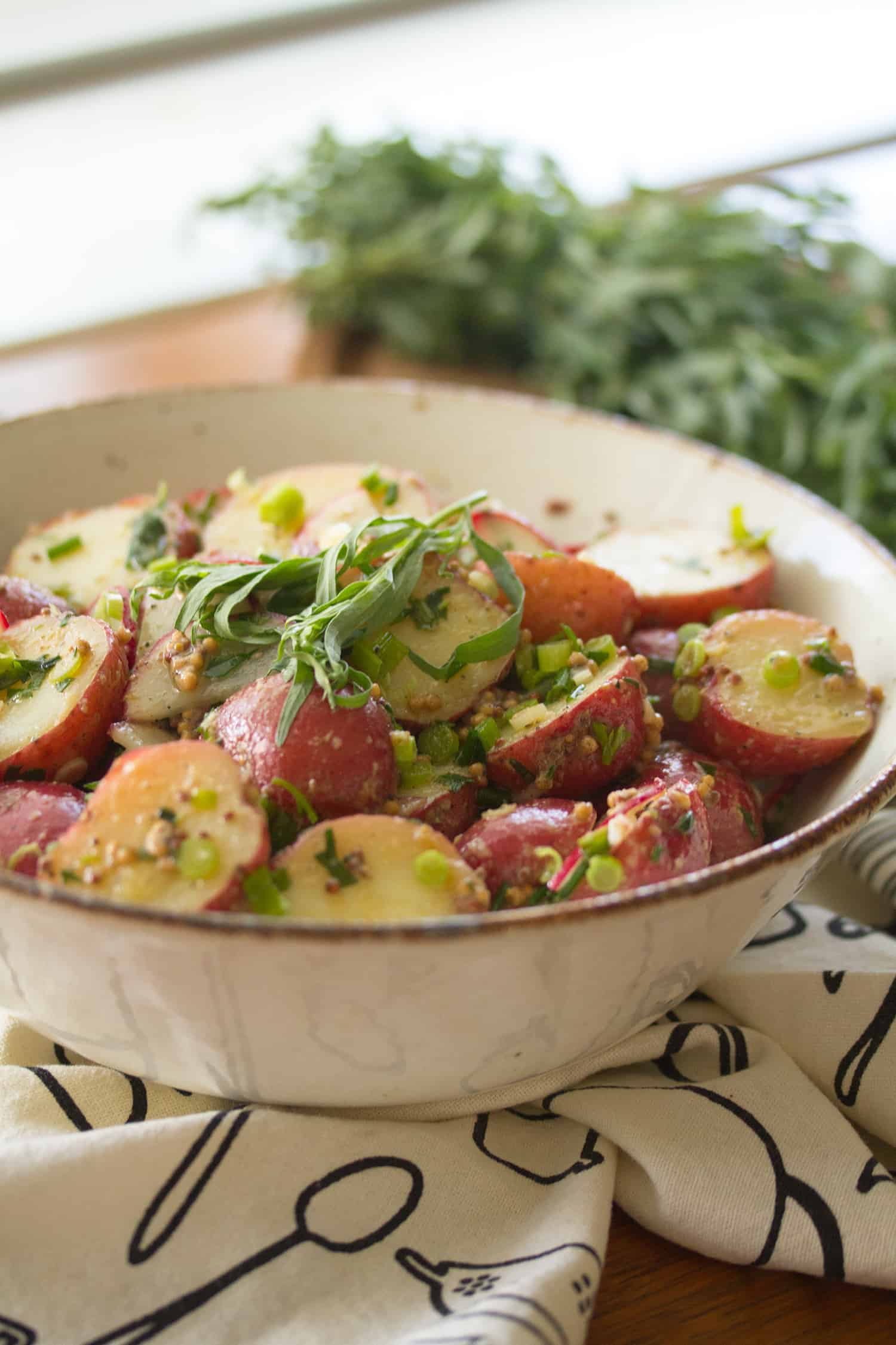 Tarragon Potato Salad Recipe