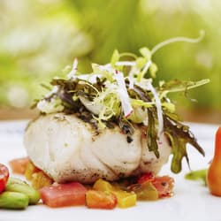 Baked Seabass with Homemade Garlic Butter and Herb Bread Crumb Topping Recipe
