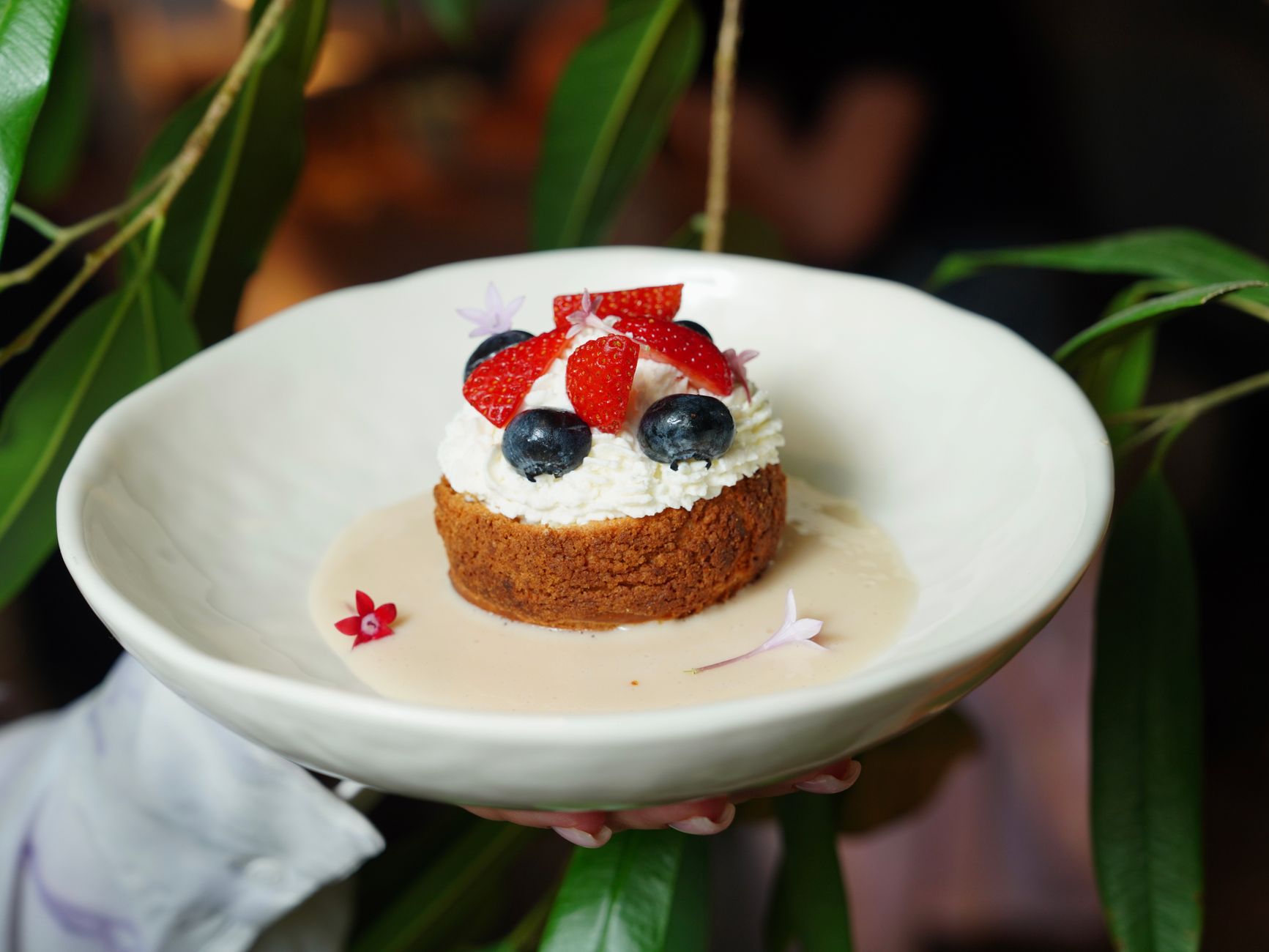 Blueberry Cheesecake Crumbl Cookie – A Tasty Delight for You