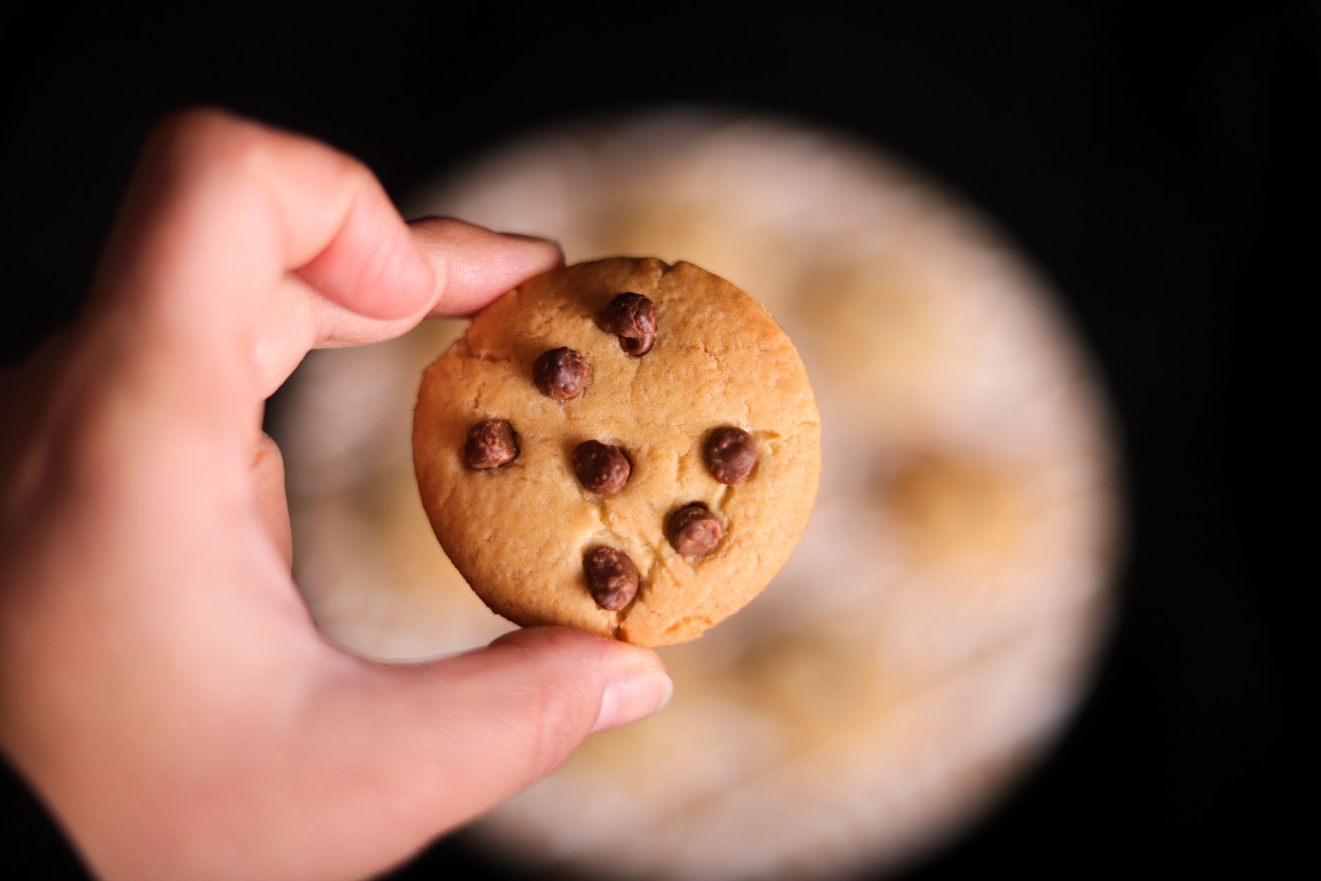 Chewy Almond Cookies Recipe You’ll Love to Bake