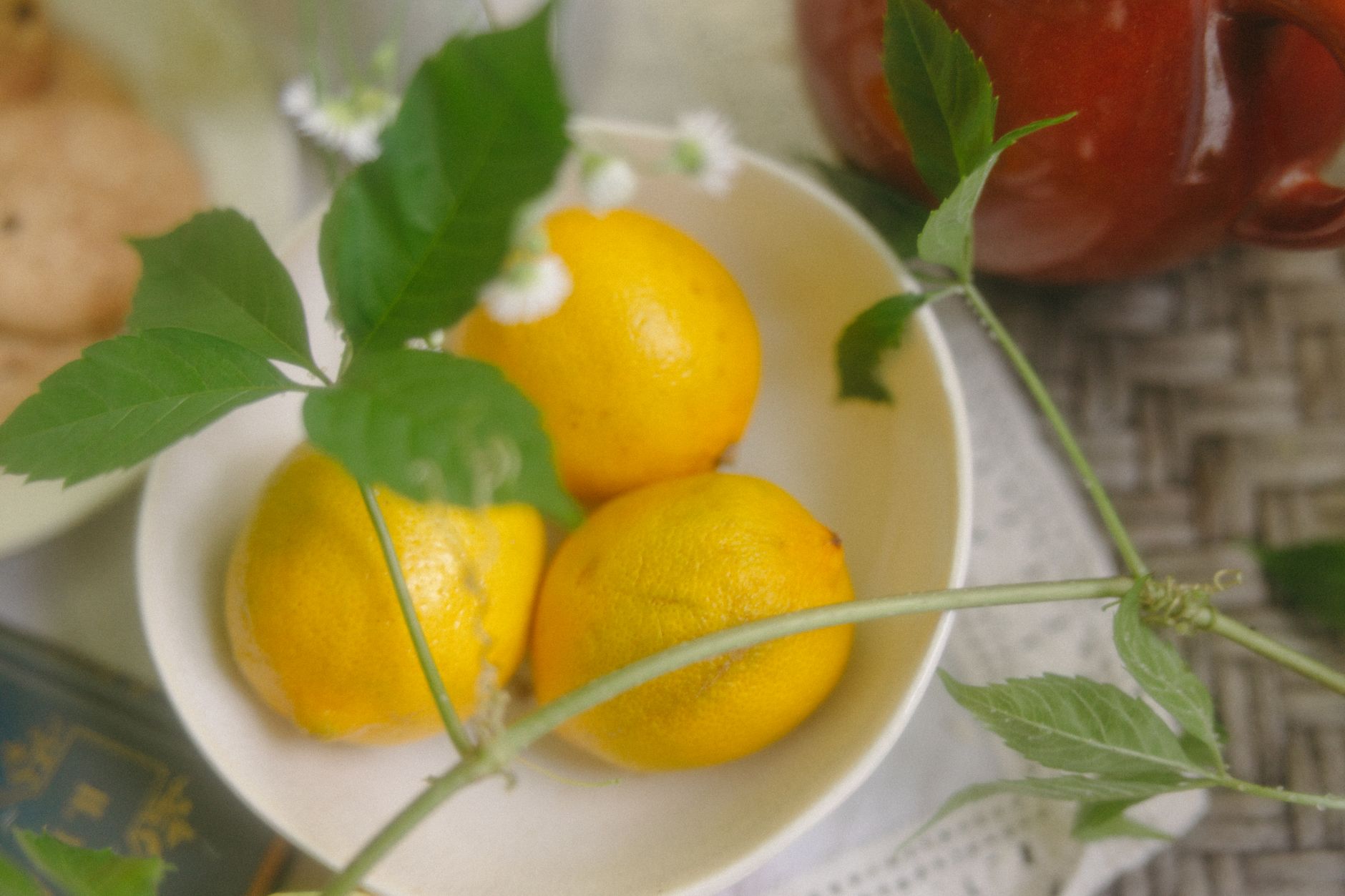 Vegan Lemon Cheesecake Silken Tofu: Creamy, Fresh & Easy