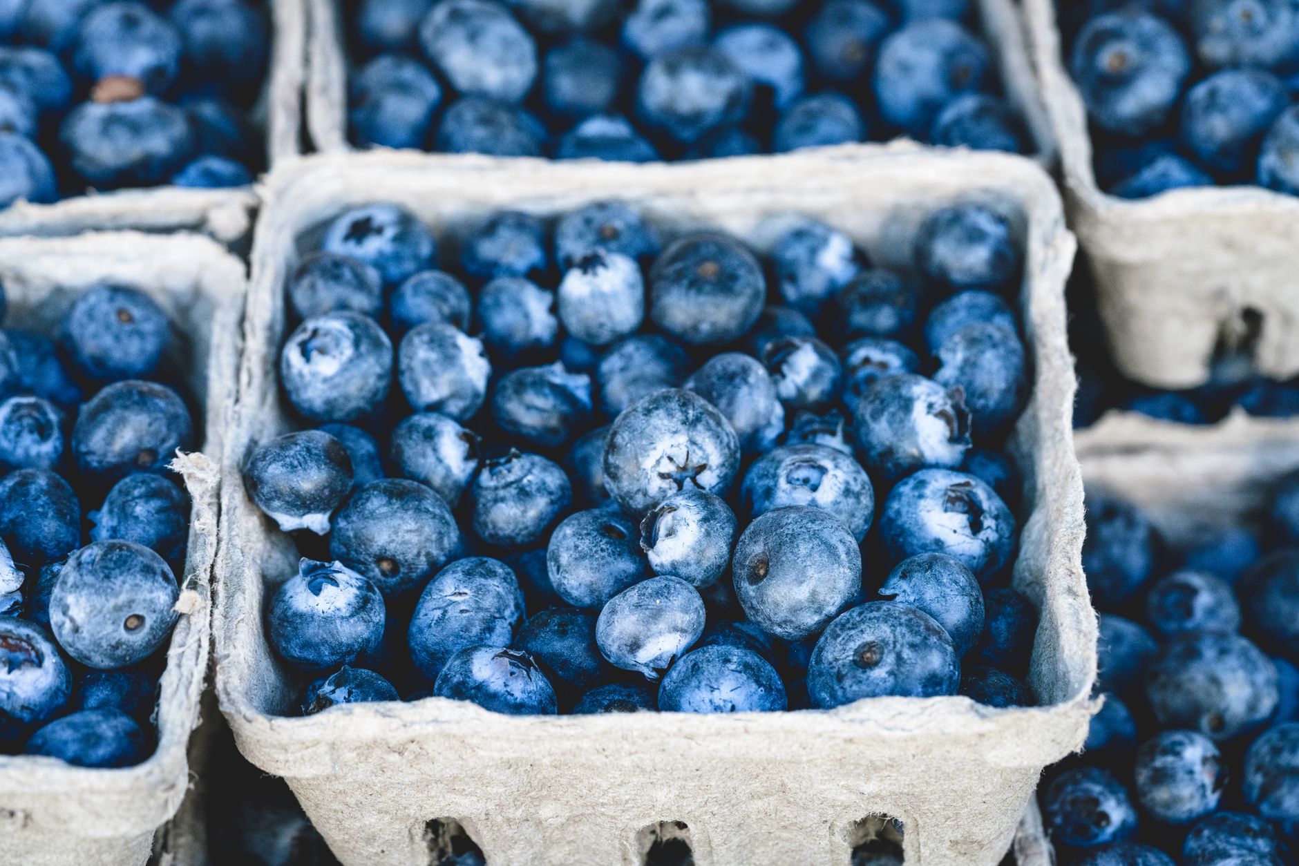 Moist & Easy Keto Blueberry Muffins with Almond Flour