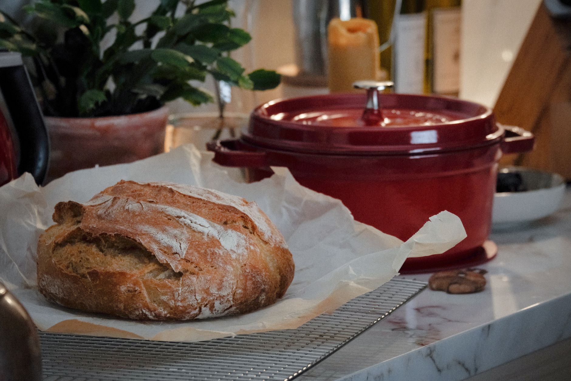 Dairy Free Dutch Oven Recipes: Easy Baking for Every Meal