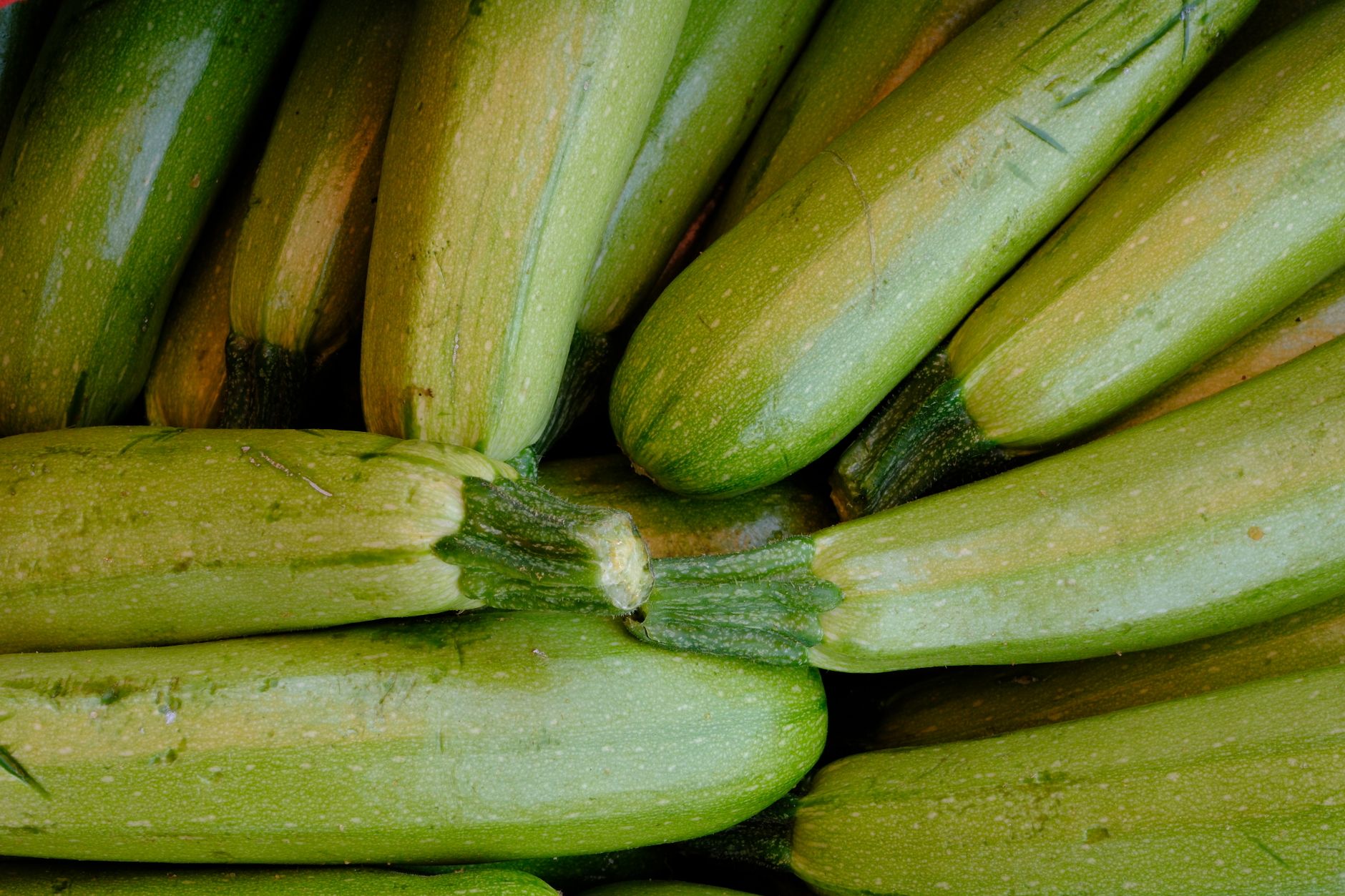 How Long to Bake Zucchini and Squash at 350: Perfect Timing Tips