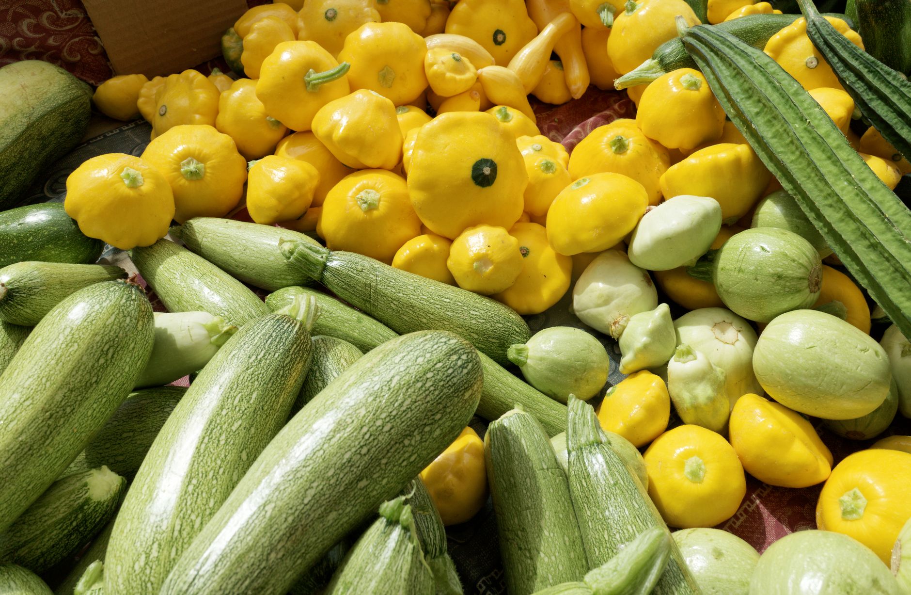 Roasted Squash and Zucchini and Onions: Flavorful Dinner Idea