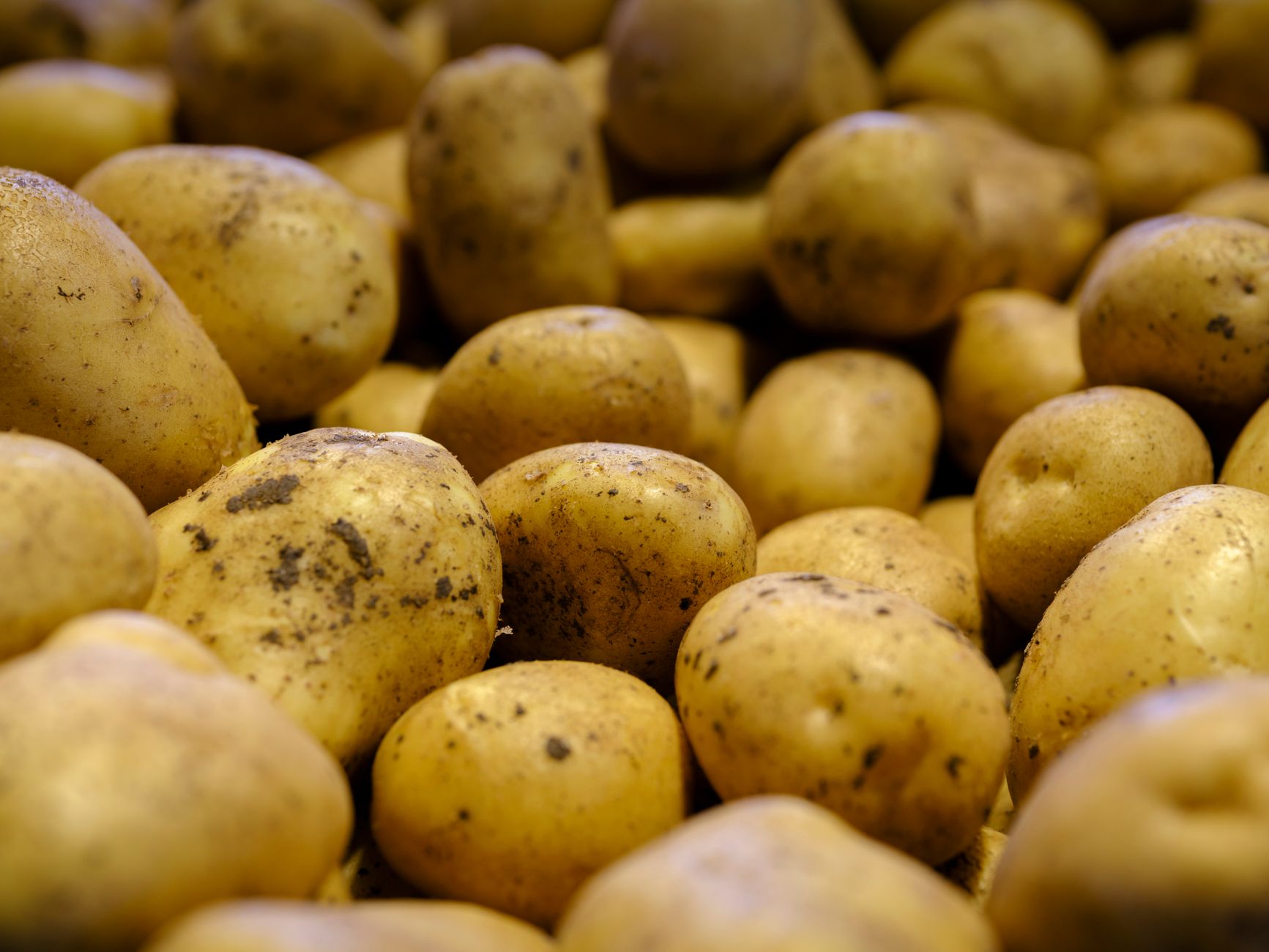 Russet Potatoes on Blackstone: Easy Crispy Perfection Every Time
