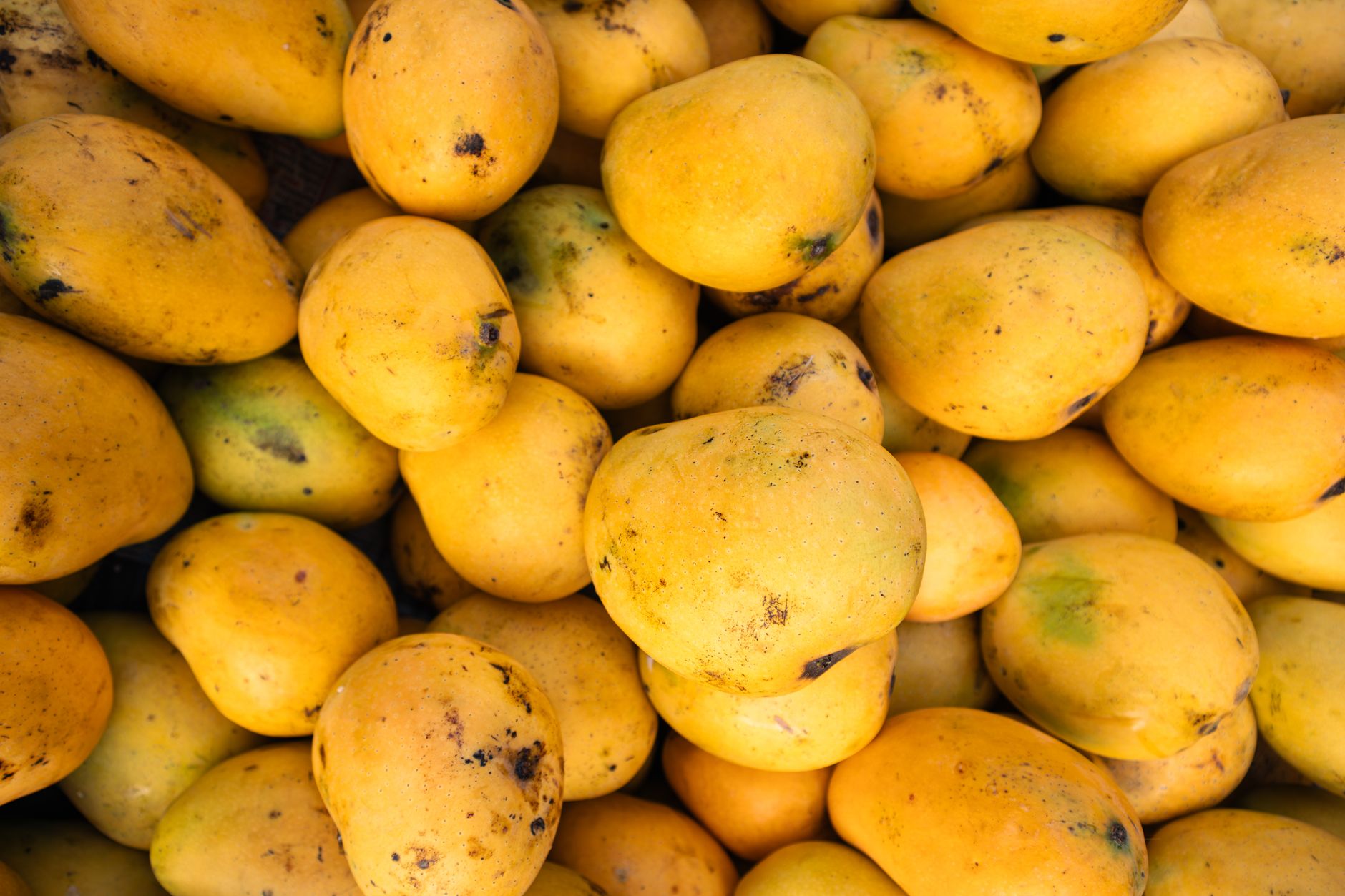 Coconut Mango Pops: Refreshing Tropical Snack Recipe