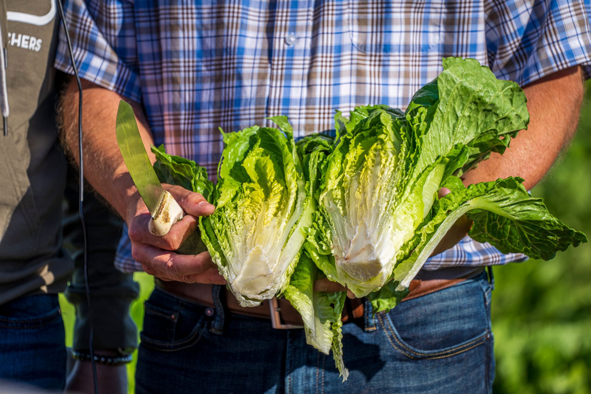 Romaine Salad with Bacon Fat Dressing: A Flavorful Lunch Delight