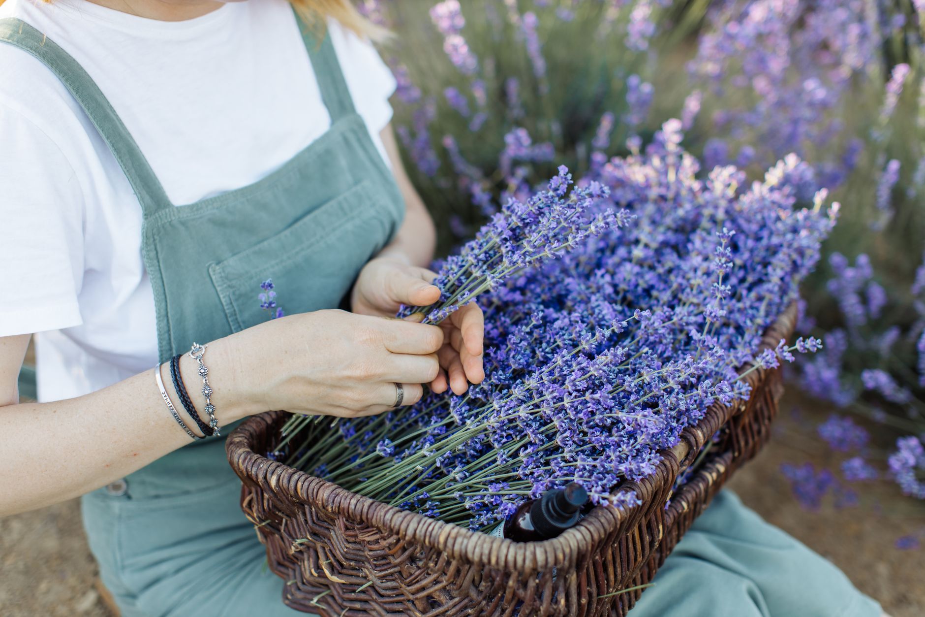 Lavender Orangeade Recipe: Refreshing Summer Citrus with Floral Twist