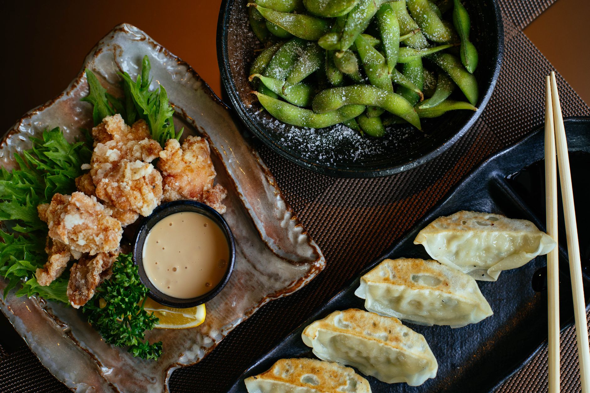 Chicken Pot Stickers with Dipping Sauce