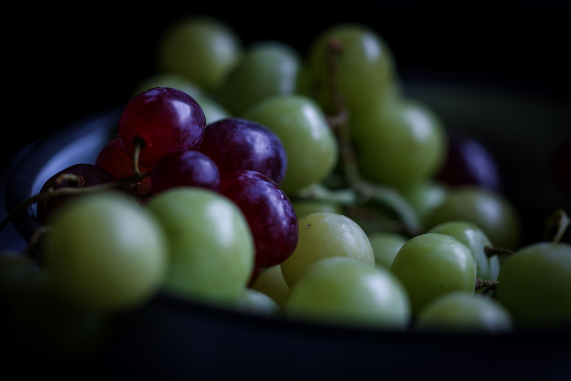 Chocolate-Dipped Grapes: A Sweet and Elegant Dessert