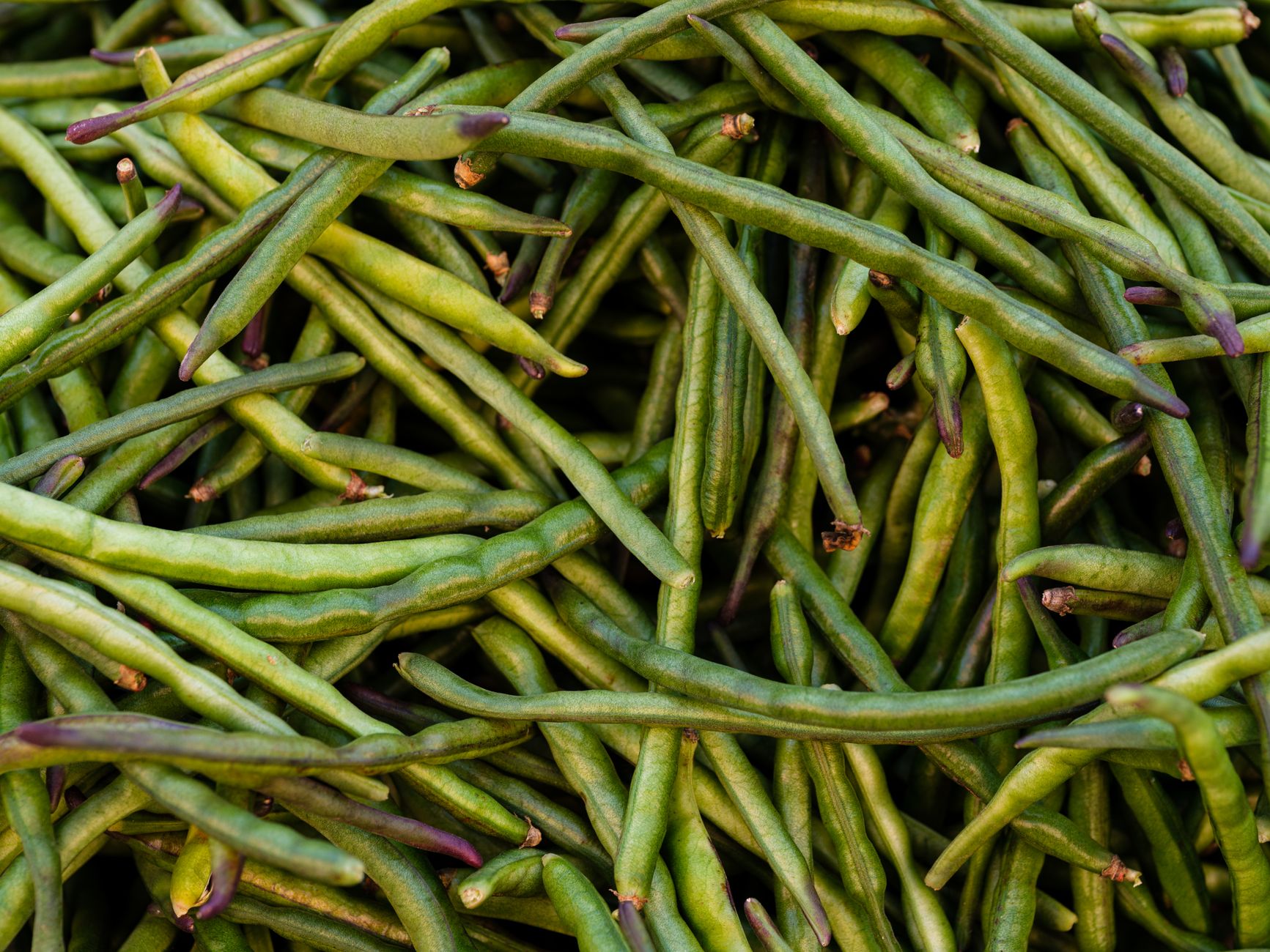 Garlicky Green Beans and Peas: A Flavor-Packed Veggie Side