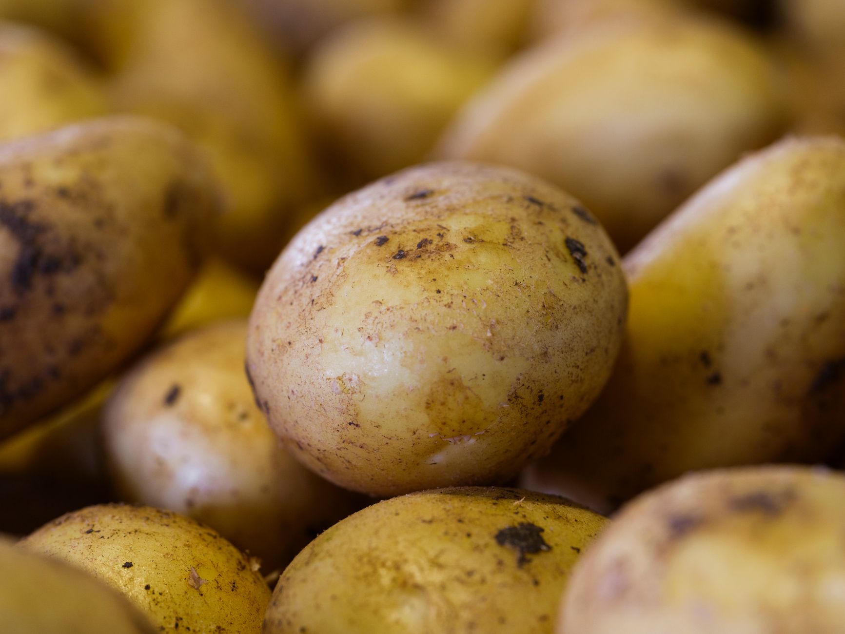 Mini Twice-Baked Potatoes: A Crispy, Creamy Delight
