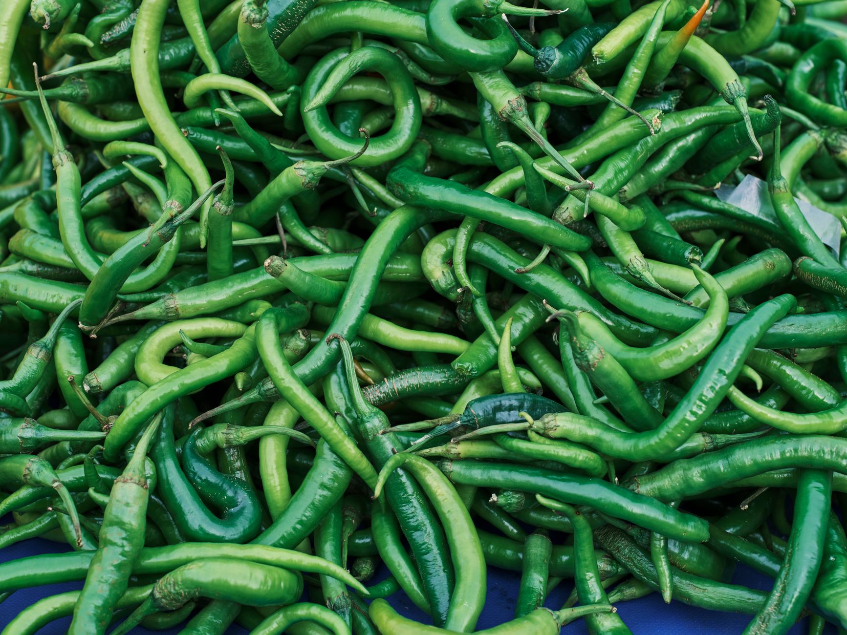 America's Favorite Chili: Classic Comfort in a Bowl