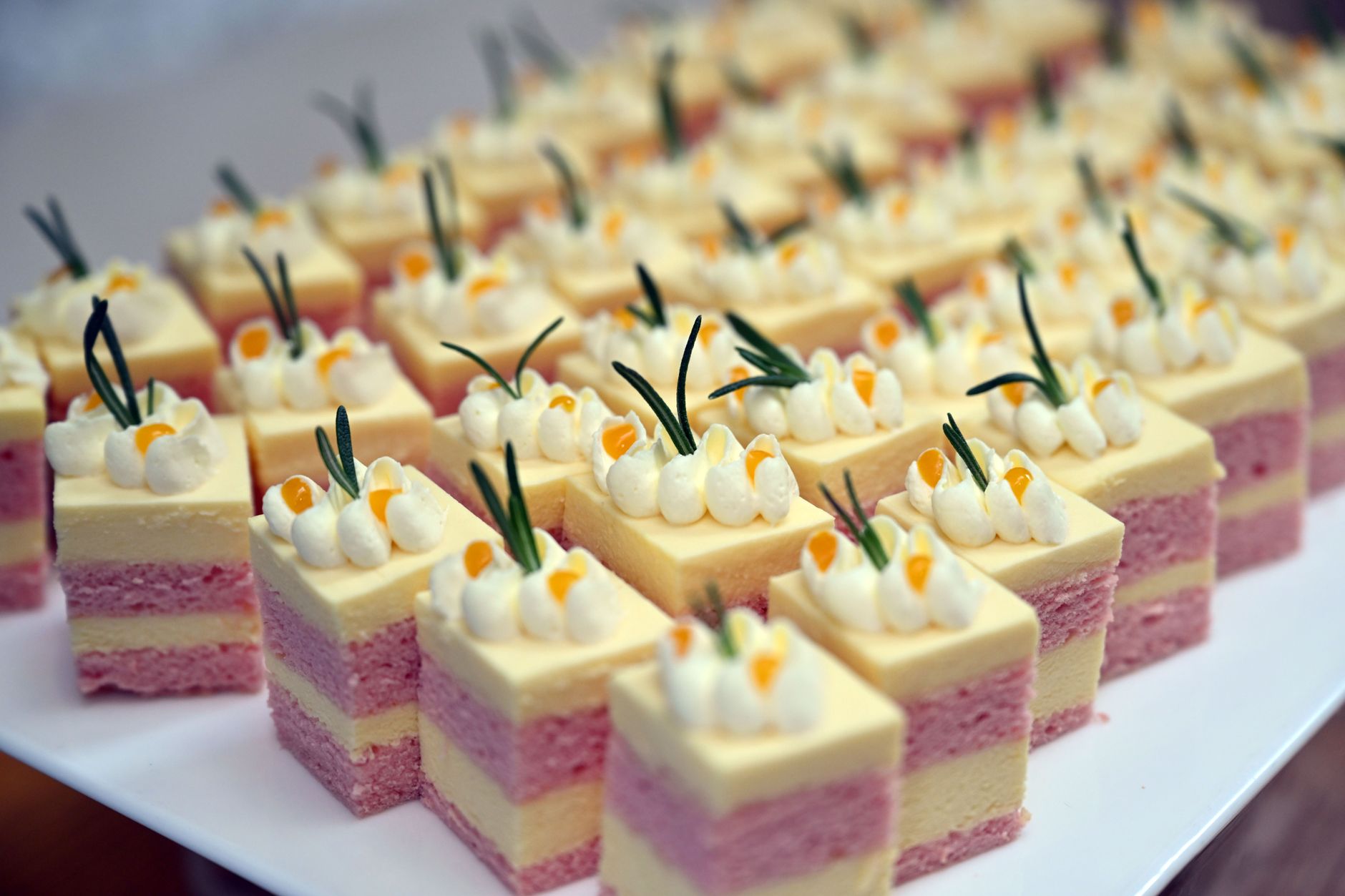 Blueberry Cake with Lemon-Mascarpone Cream