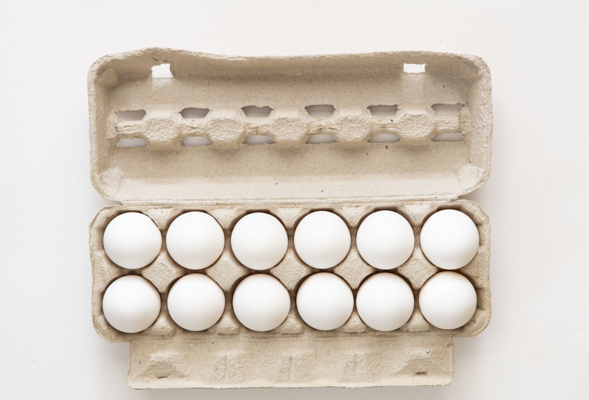 Egg White Bites: A Protein-Packed Breakfast Delight