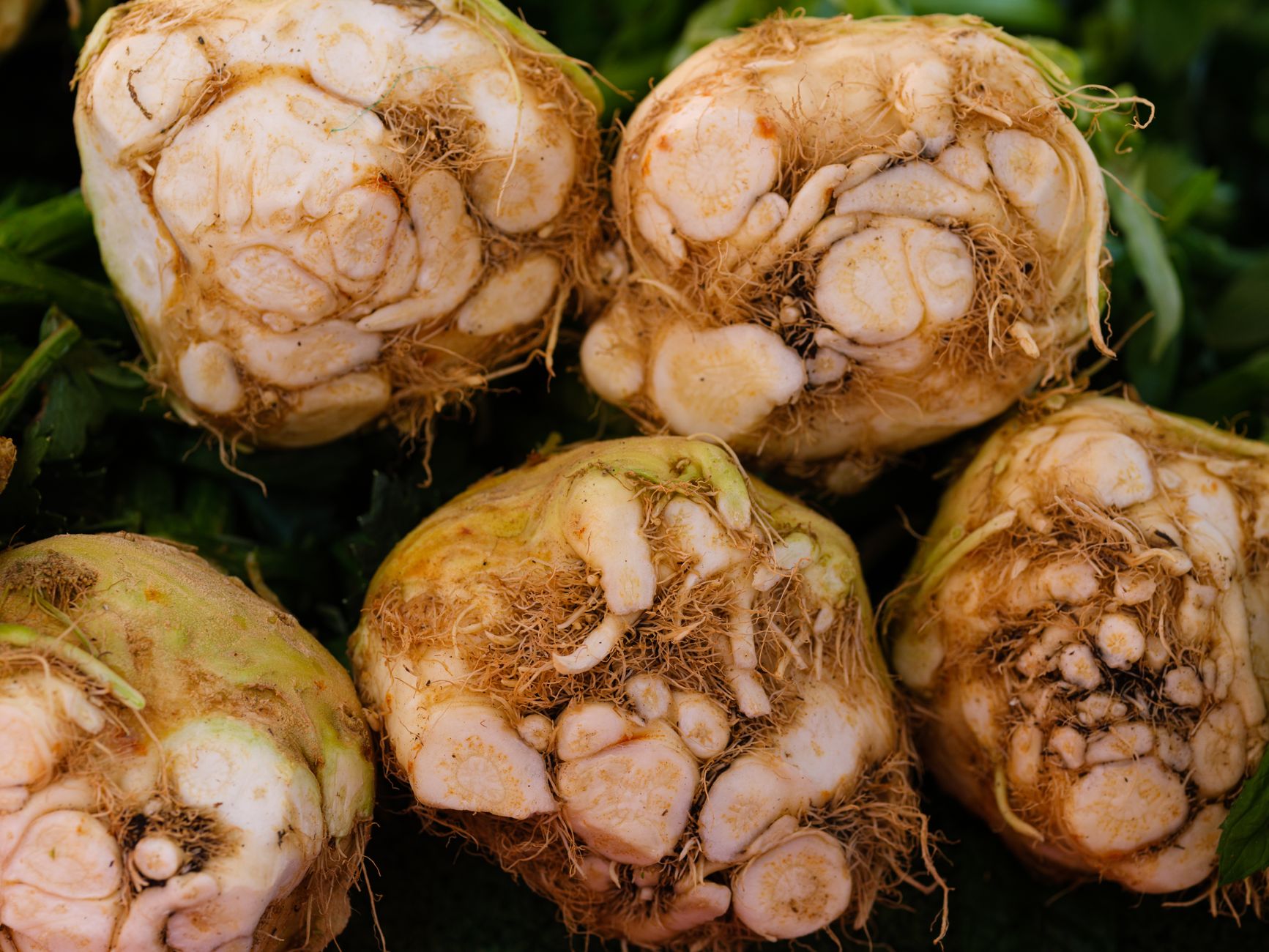 Vegetable Bundles with Tarragon-Citrus Dip