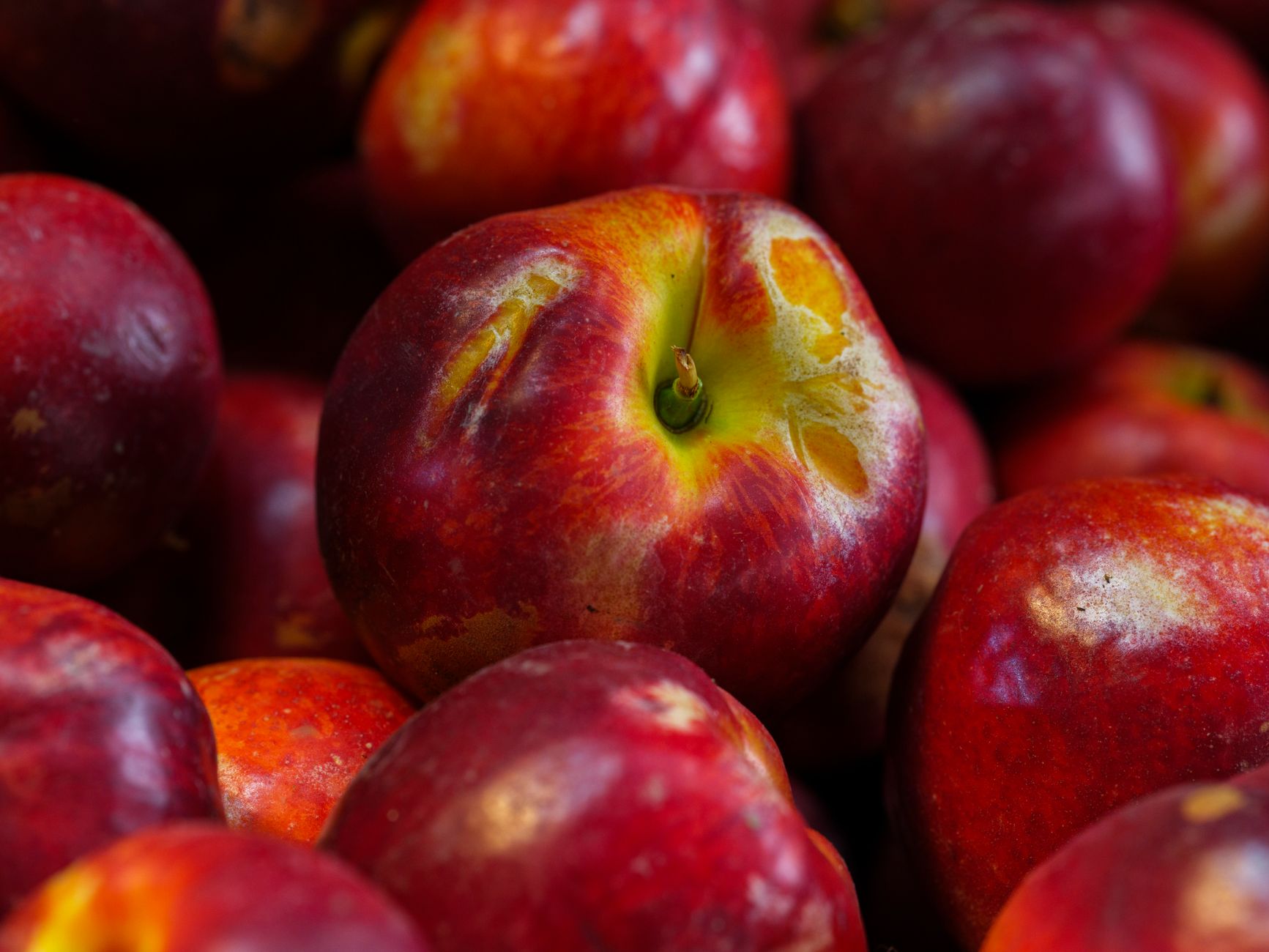 Blueberry Nectarine Crisp Recipe: A Deliciously Easy Dessert