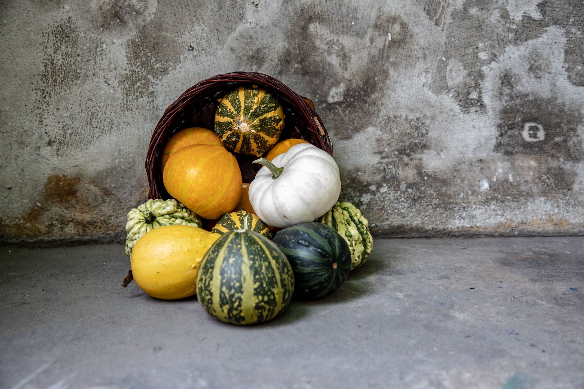 Chicken Enchilada Stuffed Squash: A Flavor-Packed Mexican Delight