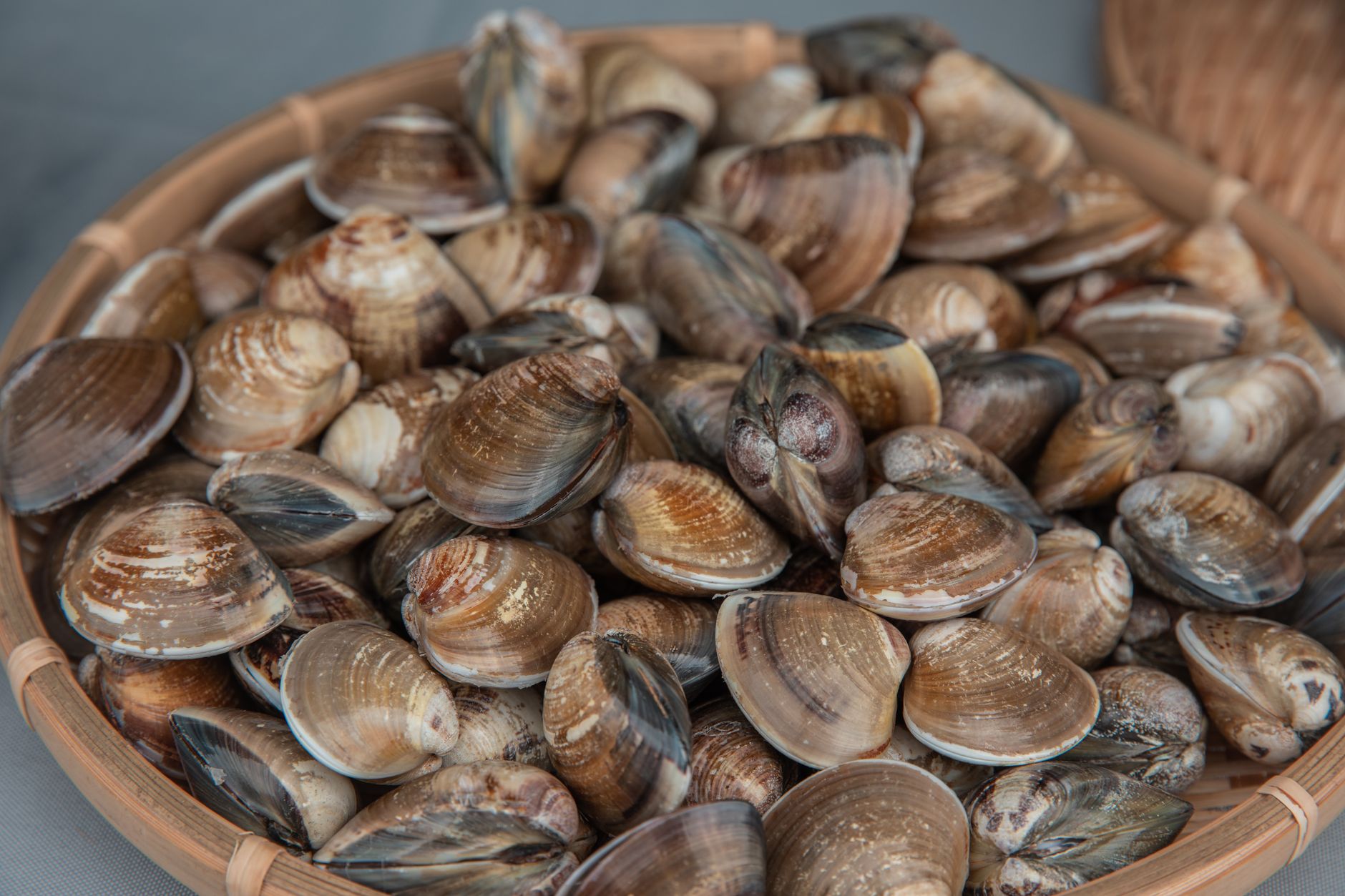 Clam Chowder Recipe: Classic Creamy Seafood Delight