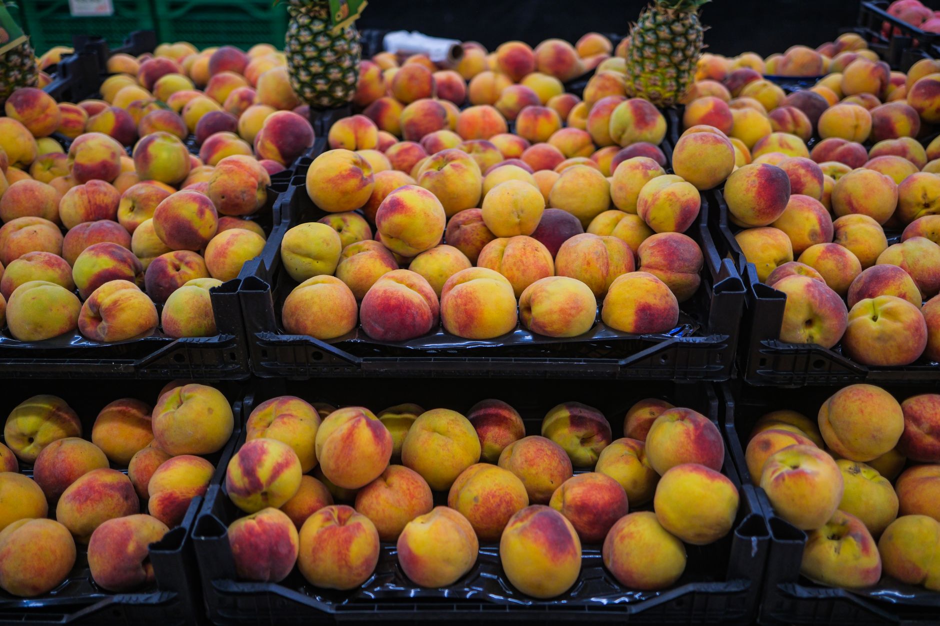 Fresh Peach Cake Recipe: A Luscious Summer Dessert