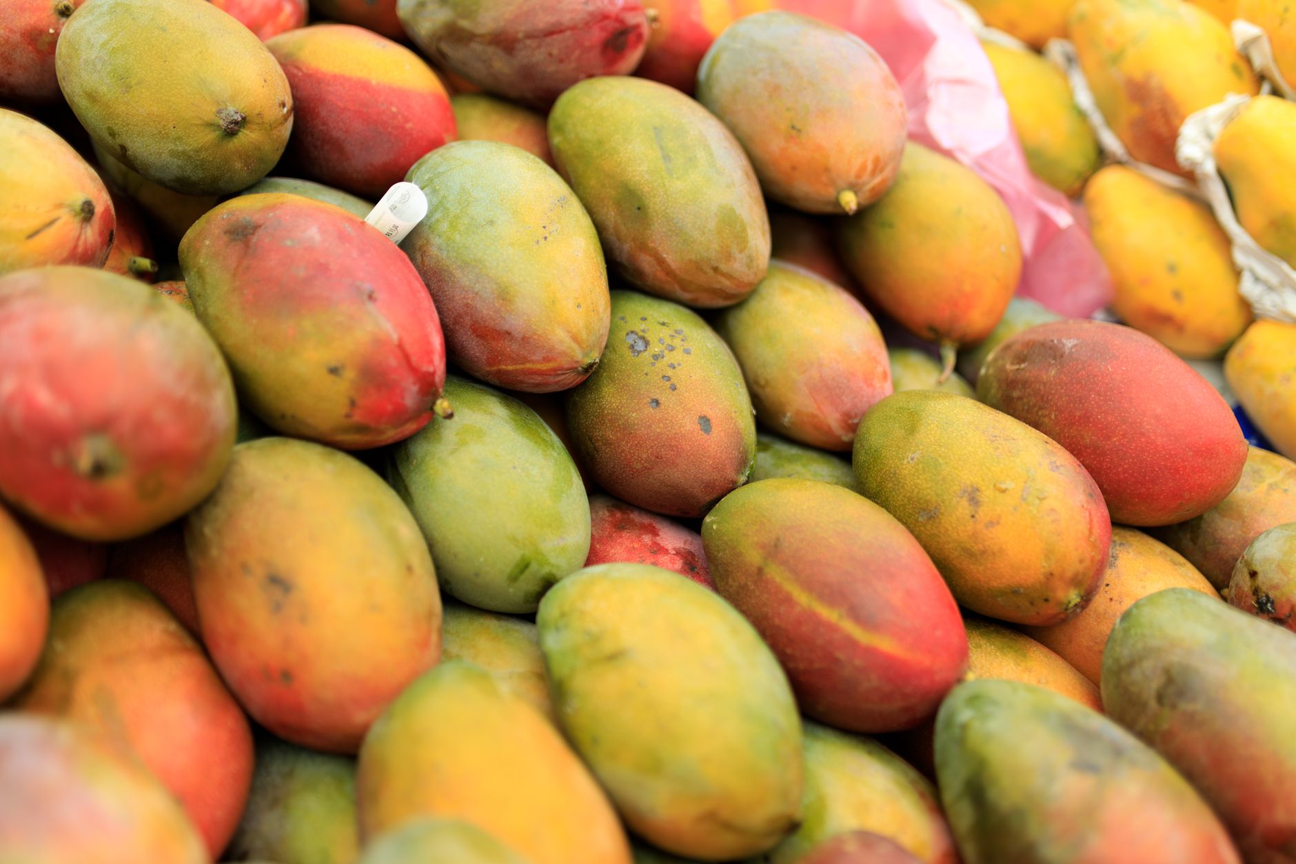 Mango and Mint Marinade Recipe for Fresh Seafood Flavors