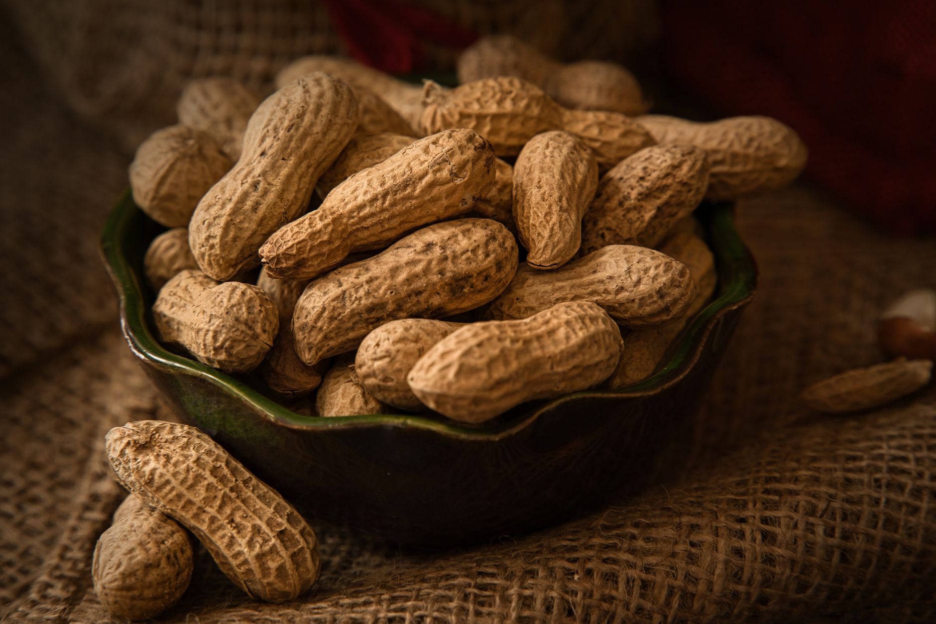 Peanut Butter Dog Bone Treats: Easy Homemade Snacks for Your Pup