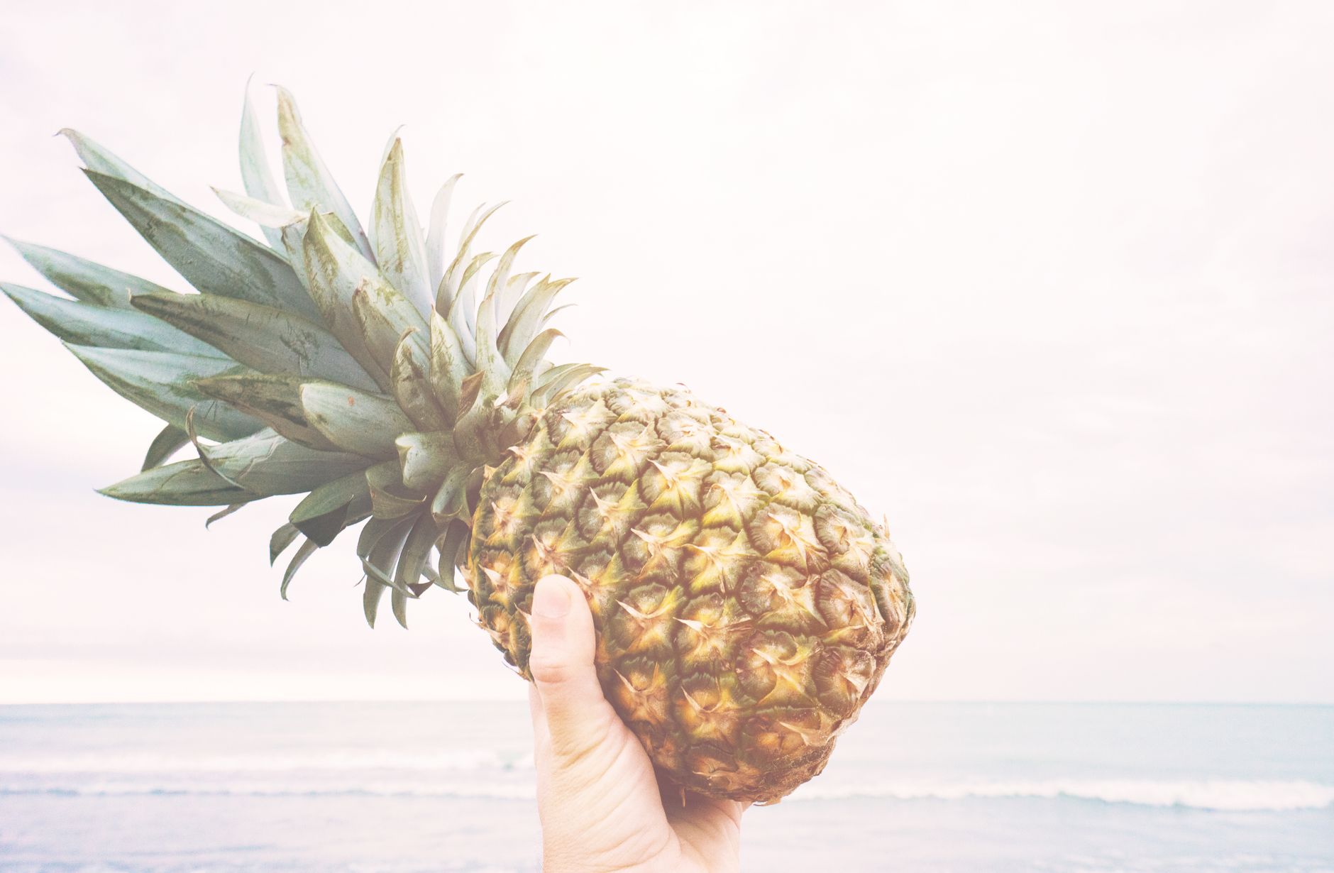 Pineapple Paradise Recipe: Refreshing Tropical Snack Delight